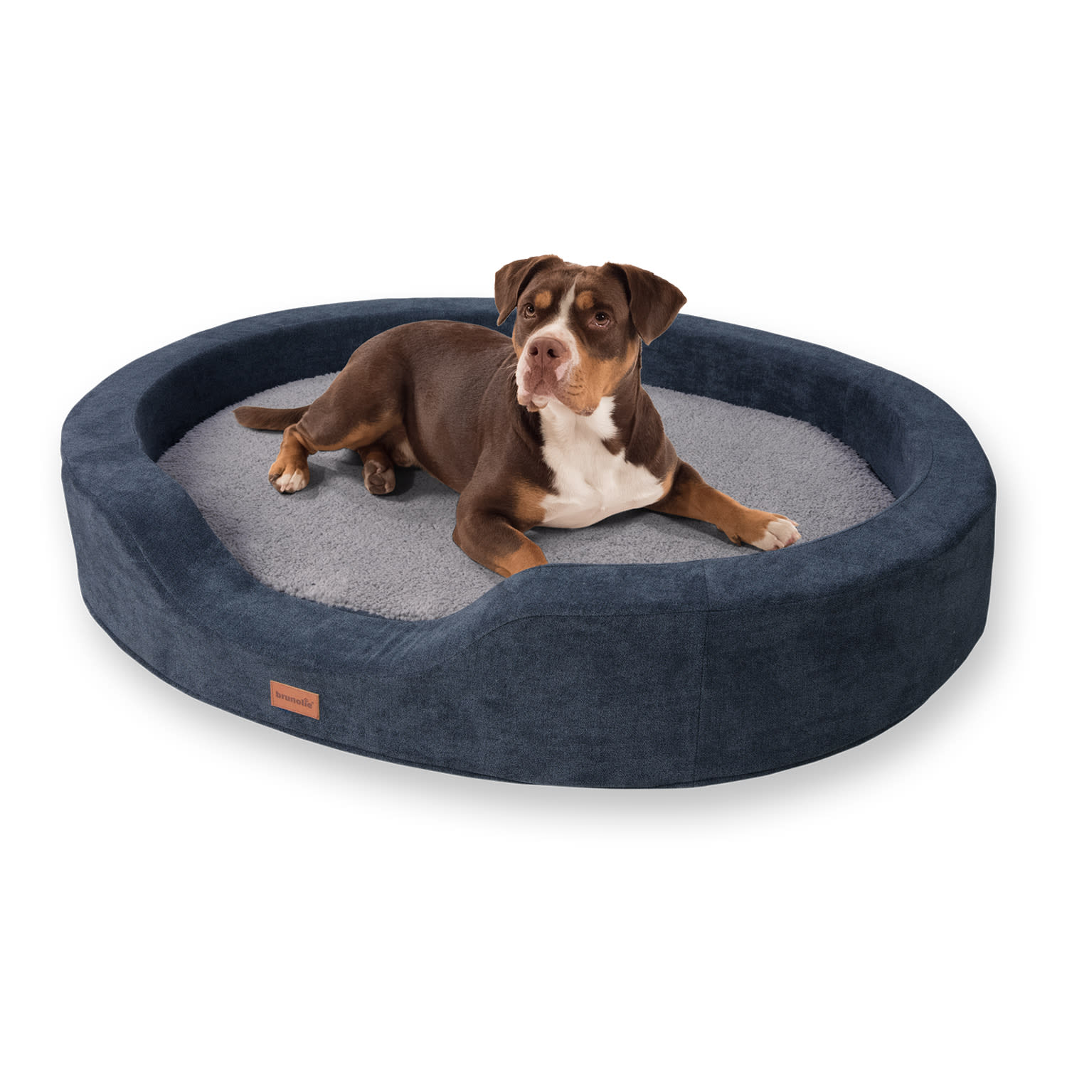 Brunolie Lotte
