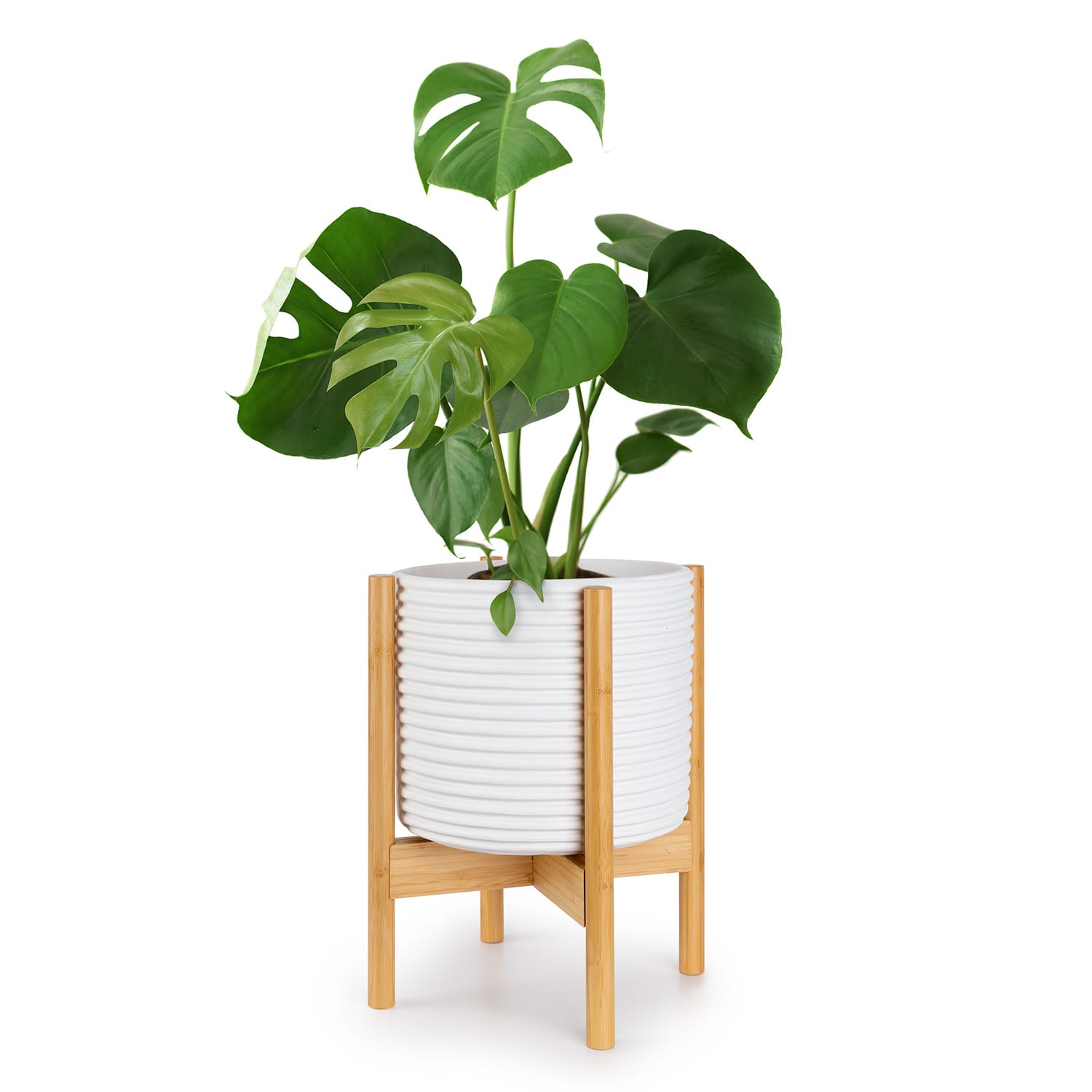 Fox & Fern Deventer
