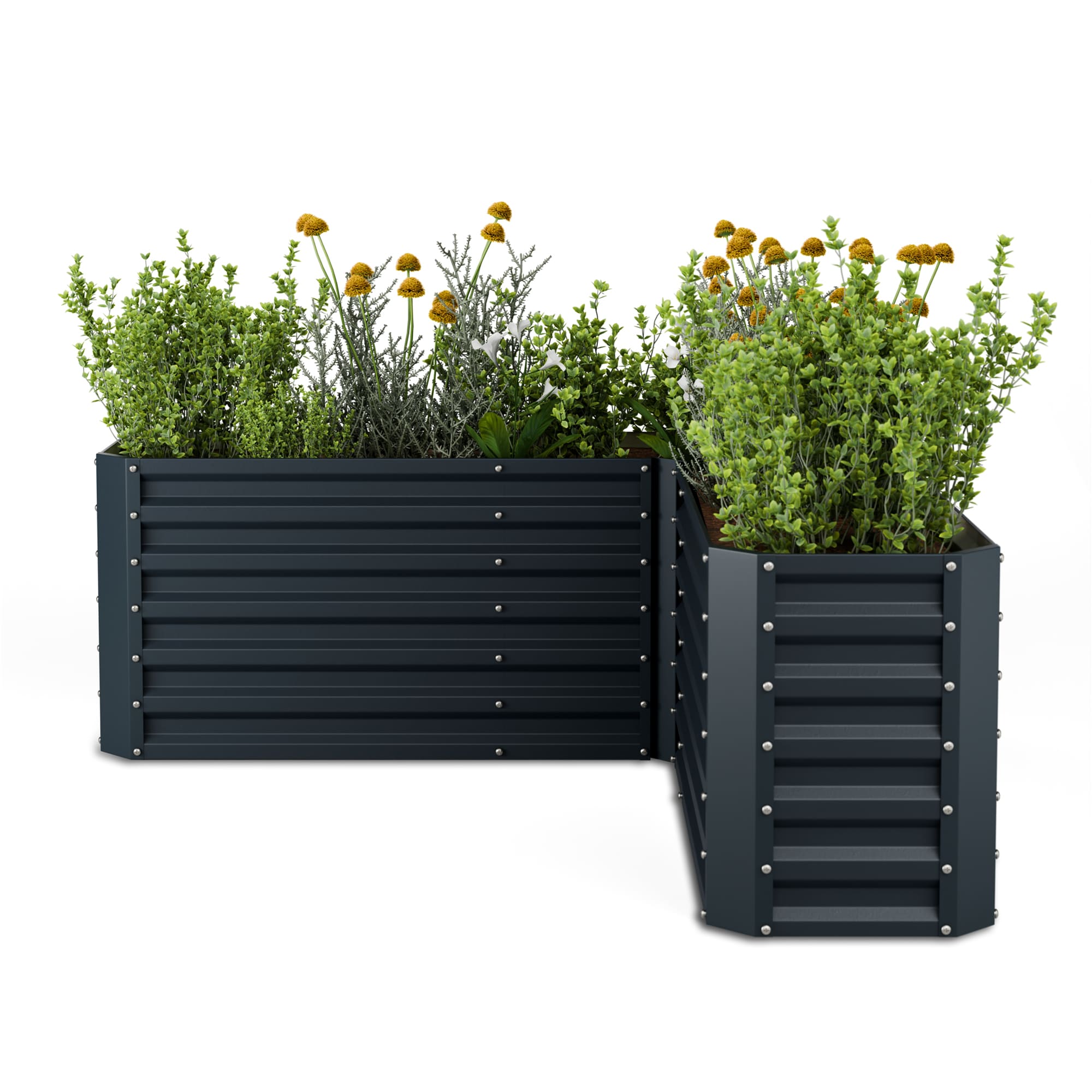 Blumfeldt High Grow ve tvaru L Antracitový